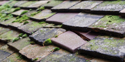 Bierton roof repair costs